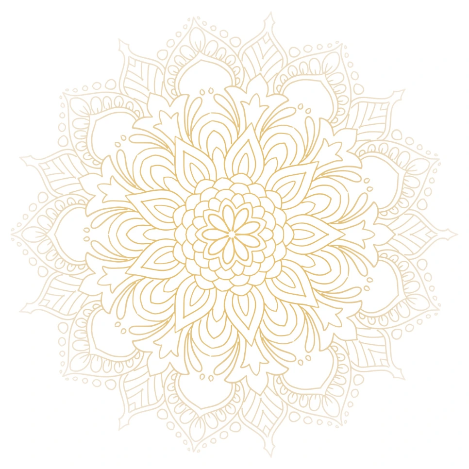 digimedialoop/sabrinaflow_frontend